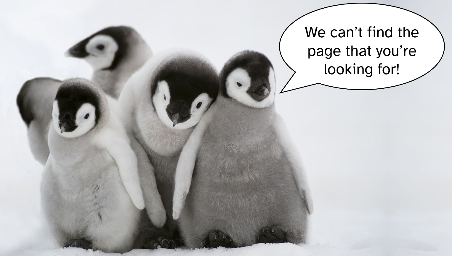 A photo of 5 baby emperor penguins all huddled together in the snow. One is saying 'We can't find the page that you're looking for!'